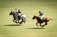 Polo Matches