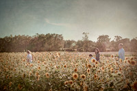 Plank Family 2014 - Sunflowers