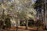 White House