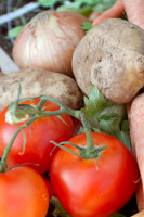 Community Garden 2011